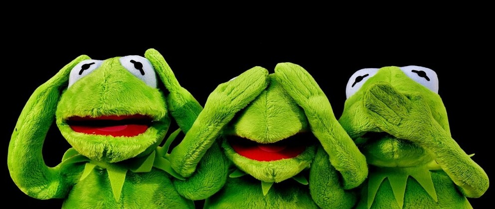 Kermit observes and thinks